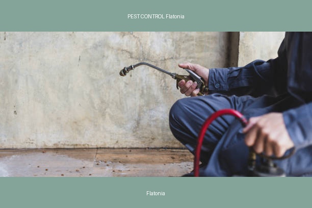 PEST CONTROL Flatonia